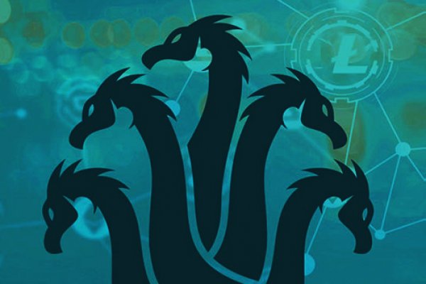 Kraken 20at