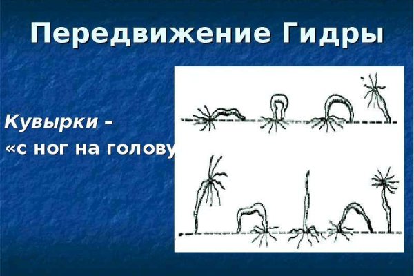 Кракен шоп зеркало