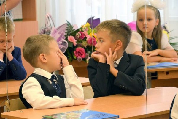 Что продают на кракене