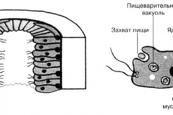 Как открыть ссылку с кракена