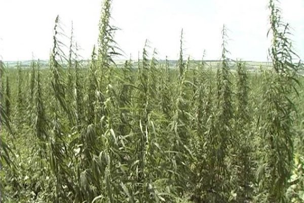Проверенная ссылка кракен