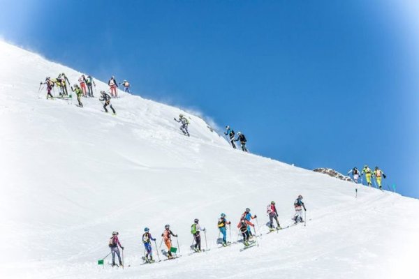 Кракен нет