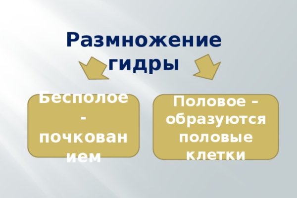 Что такое кракен в интернете