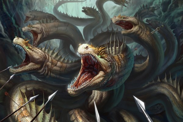Kraken whitenet market